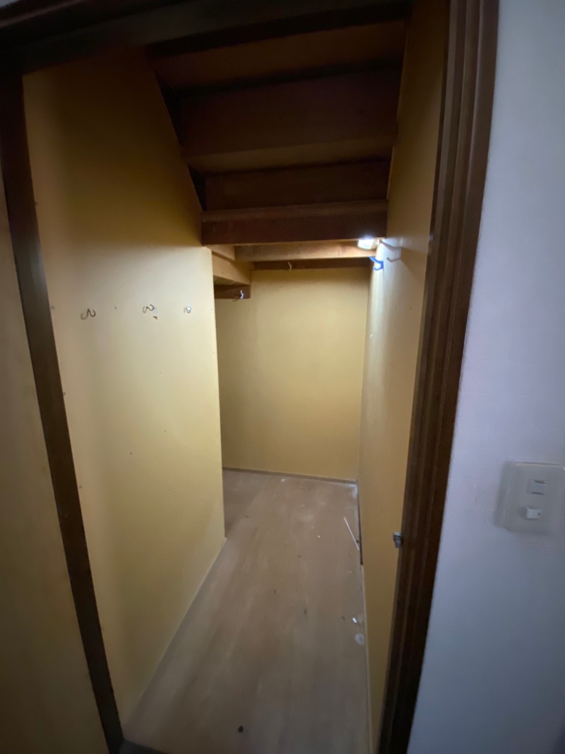 Before画像