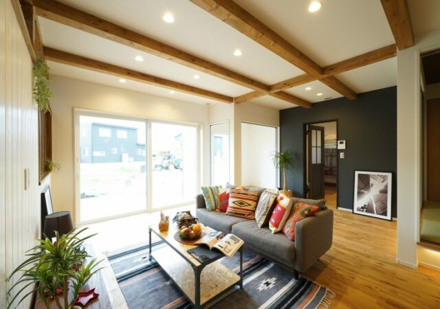 American Vintage House